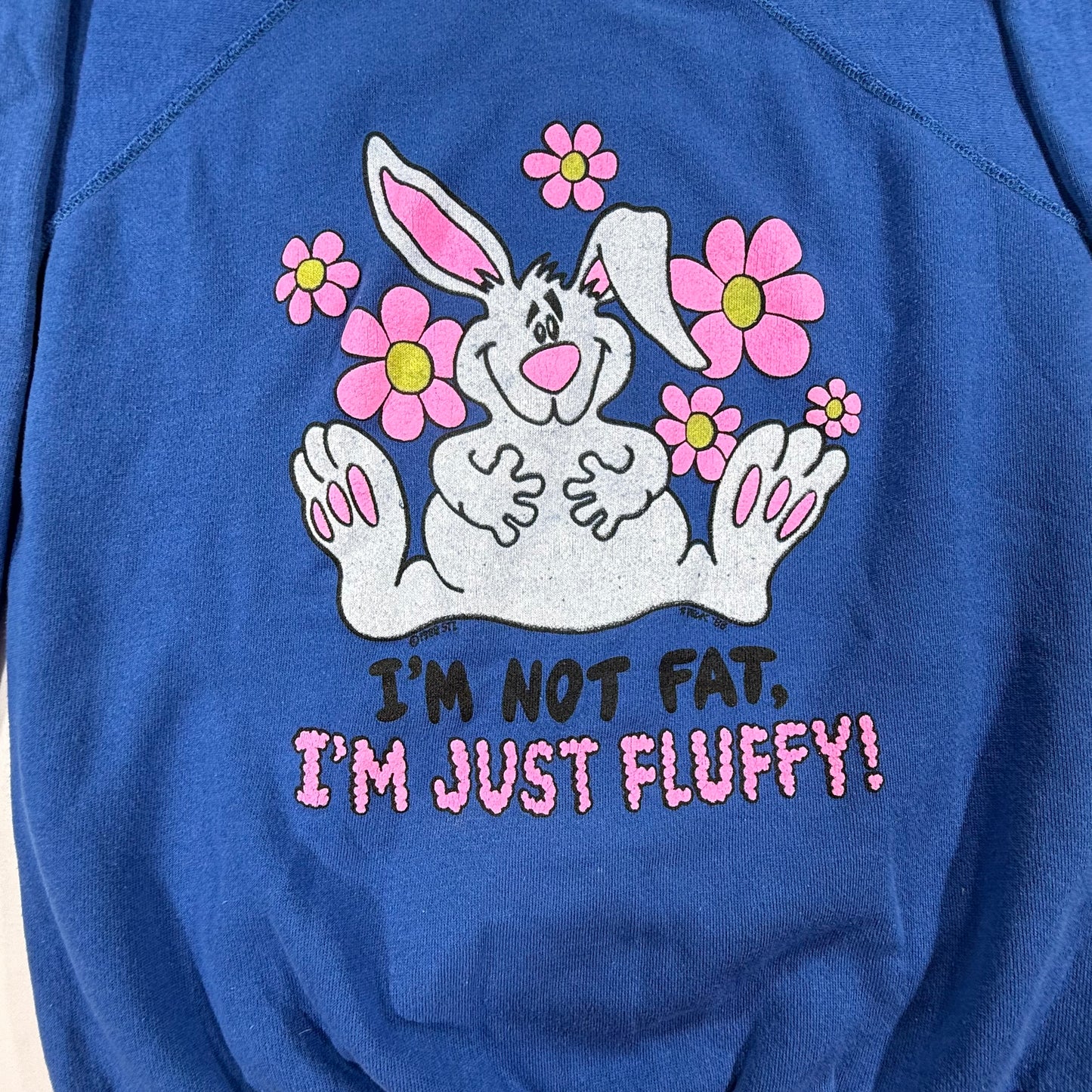 Cartoon graphic of a white bunny surrounded by pink flowers, with the text 'I'M NOT FAT. I'M JUST FLUFFLY!' printed below.