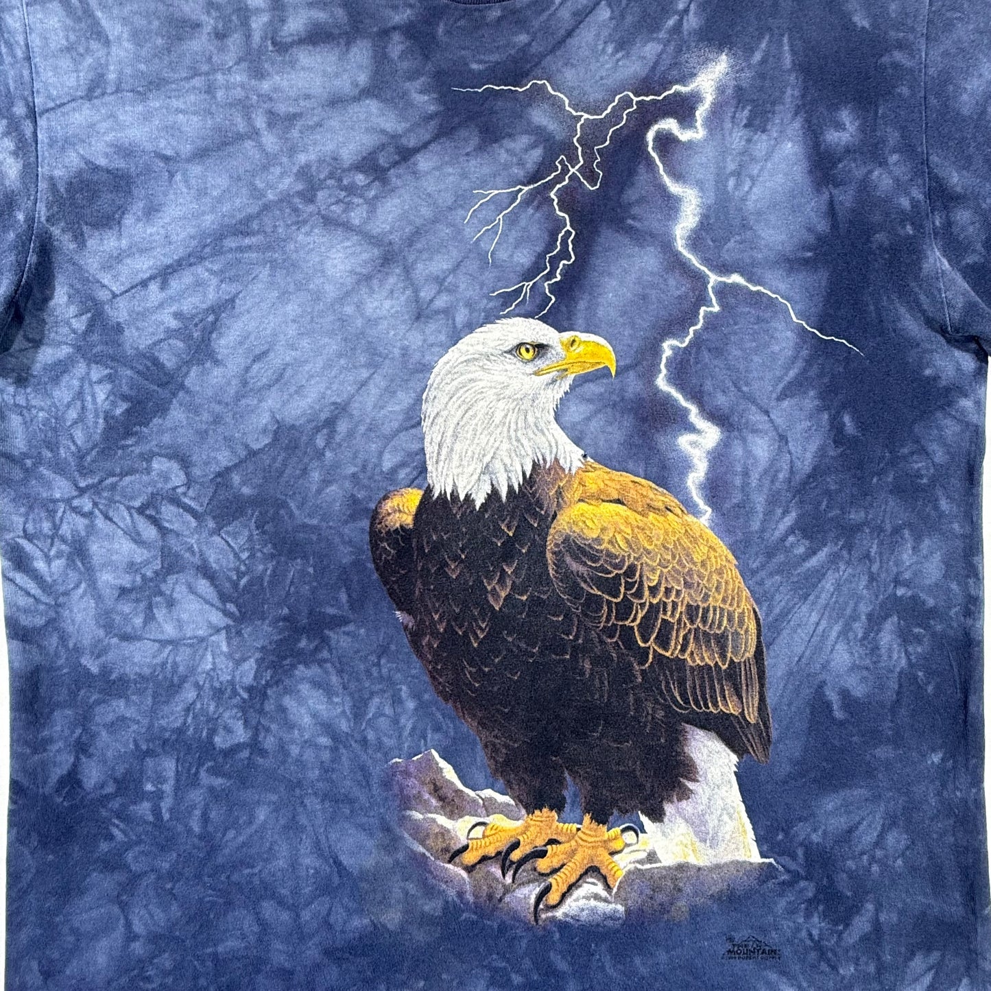 American Eagle Front Graphic Print with "The Mountain" Printed Logo