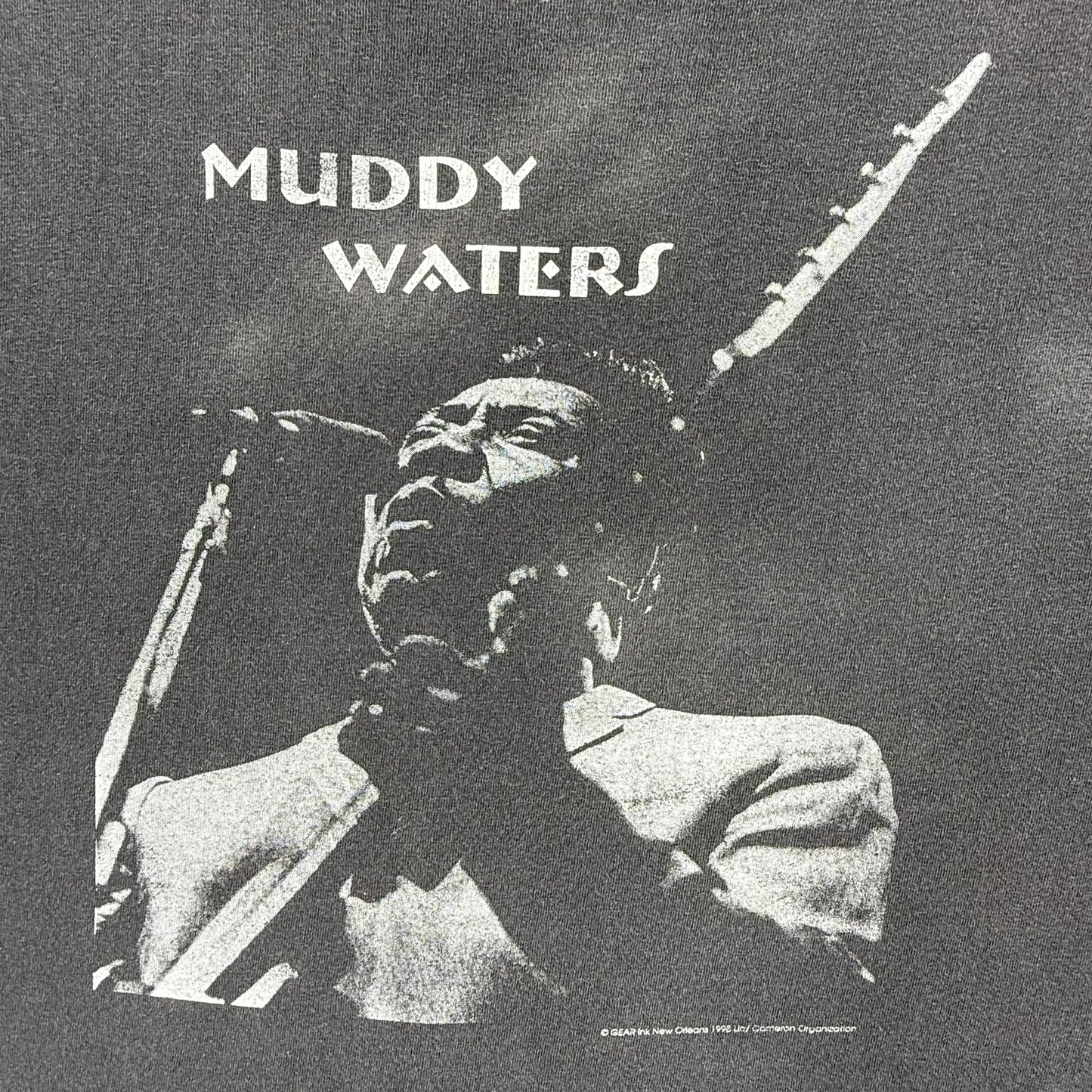 Graphic showing album cover featuring a musician with text 'Muddy Waters'