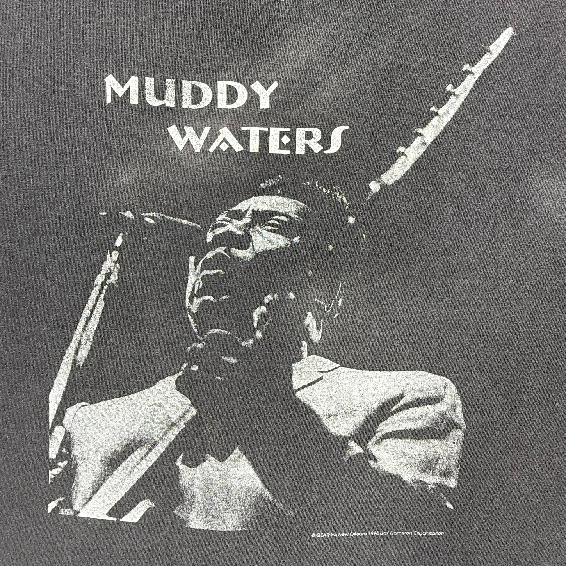 Graphic showing album cover featuring a musician with text 'Muddy Waters'